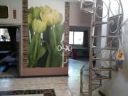 House for sale near dha link rod morgah oficer cloney....