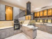 House Of 20 Marla Is Available For Rent In DHA Defence...