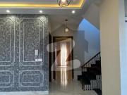 House Of 5 Marla Is Available For rent In Citi Housing...