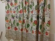 House to let in Northdale outbuilding