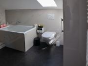 House with 4.5 rooms on sale in Arisdorf 244 m² | dreamo. Ch