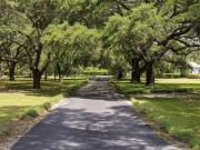 house with 8 bedroom, Hartsville SC DLS91679257