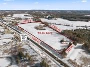 House with garden and terrace