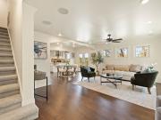 House with garden and terrace