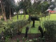 House with Huge 7,000 sqm Lot – Ideal for Home or Investment