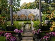 House with pool and garden