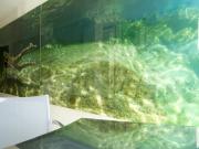 Houses in Carrer Tauet, Ibiza Gabinohome