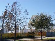 Houston TX 77028 LS96150766