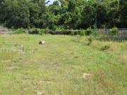 Houston TX 77091 LS94677670