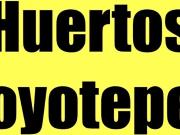 HT422 Terreno ideal para desarrollar un gran huerto