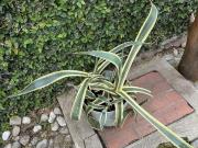 HT434 Terreno en San Miguel Regla