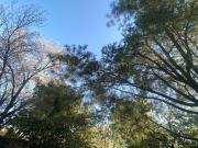 HT457 Terreno con obra negra de un piso