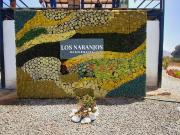 Huaral Residencial Los Naranjos Terrenos Para Casa De Campo