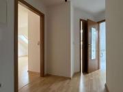 Hübsche 1 Raum Wohnung in Chemnitz Kaßberg verfügbar