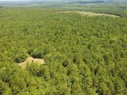 Huckleberry Finn Rd, Batesburg, Plot For Sale