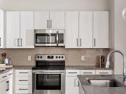 Hue on Greenhouse 1 Bedroom Apartment for Rent at 2411...