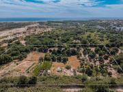 Huerta con producción activa y agua, ubicación privilegiada