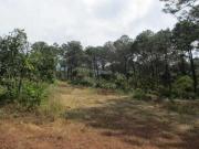 Huerta de aguacates + cabaña en Peribán, Michoacán