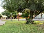 Huerta de Mandarinas carretera a Ures Km. 8.5