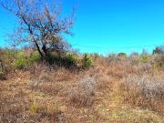 HUERTA GRANDE LOTE EN BARRIO ROMERILLO HUERTA GRANDE LOTE EN BARRIO ROMERILLO