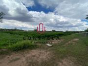 Huerta Venta San Juan del Valle 2,850,000 Cons2