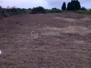 HUERTO EN VENTA EN ZONA DE PUZOL