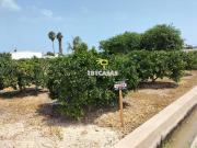 Huerto Venta Valencia