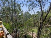 Huge and quiet amongst the trees!