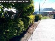 Huge lot at affordable price