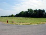 Huge Vacant Lot for Sale at Mckinley Parkway BGC All...