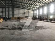 Huge Warehouse For Companies