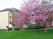 Hughes, Woodlands Village, Wakefield WF1, 2 bed flat to...