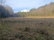 HUINCACARA OPORTUNIDAD