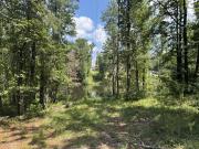 Hummingbird Dr, Trenton, Plot For Sale