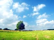 Hurigny 71870 Programme neuf terrain neuf à vendre