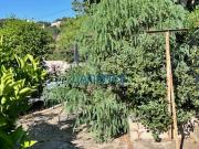 HYERES CENTRE VILLE CHARMANTE VILLA DE PLAIN PIED SUR 563M2