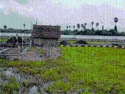 I5 K K Avenue,Potheri Residential Plot For Sale Chennai