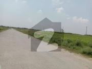 I 12/3 Nust Back 25x50 Park Face Plot