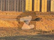 I 12/4 near by uni road plot no 600 series size 25x50