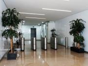 IB CM0945 Oficina en Renta en Periférico Sur, 645 m2