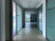 IB CM1027 Oficina en Renta en Lomas de Chapultepec, 373 m2