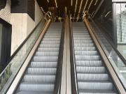 IB CM1495 Oficina en Renta en Colonia Roma Norte, 320 m2