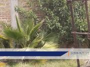 IB EM1878 Terreno en Renta en San Pedro Totoltepec, 2,500 m2