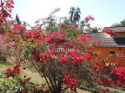 Ibiúna Chácara Em Condomínio Fechado