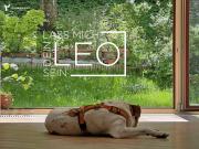 Ich will dein LEO sein