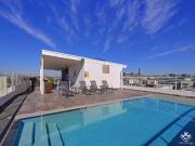 ID:21131893/38 Love Street, Bulimba, QLD 4171