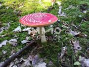 Ideal für Anleger: Provisionsfrei! ideale 2 Zimmer...