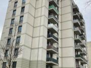 Ideal für Single! 1 Zimmer mit offener Küche