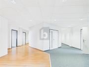 IDEAL FÜR START UPS