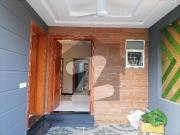 Ideal House For Rent In Punjab University Society Phase 2